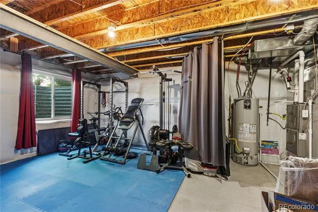 446 Ptarmigan Street Severance, CO 80550