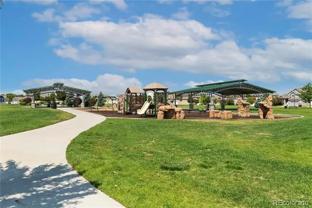446 Ptarmigan Street Severance, CO 80550