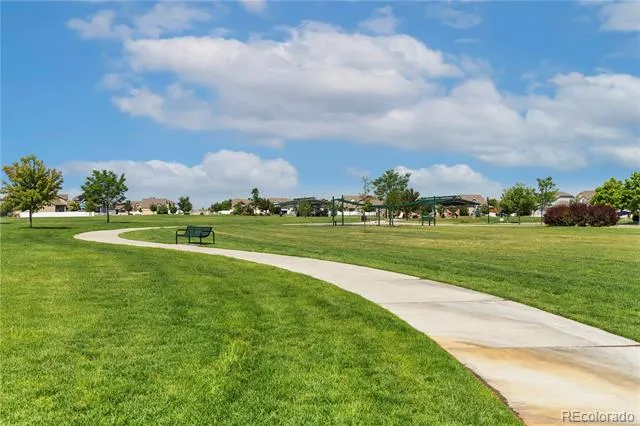 446 Ptarmigan Street Severance, CO 80550