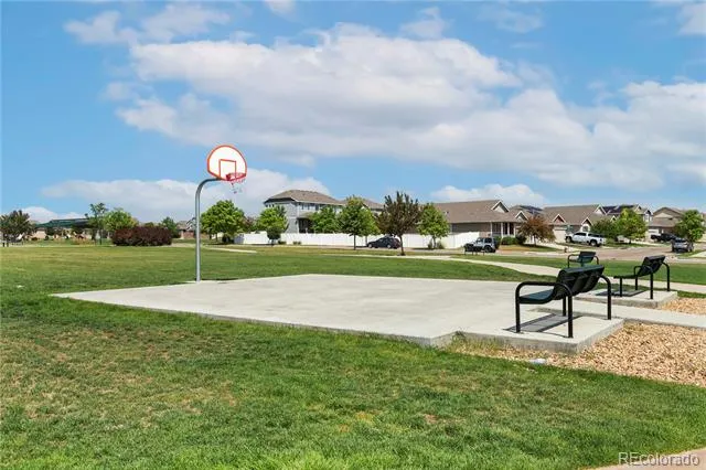 446 Ptarmigan Street Severance, CO 80550