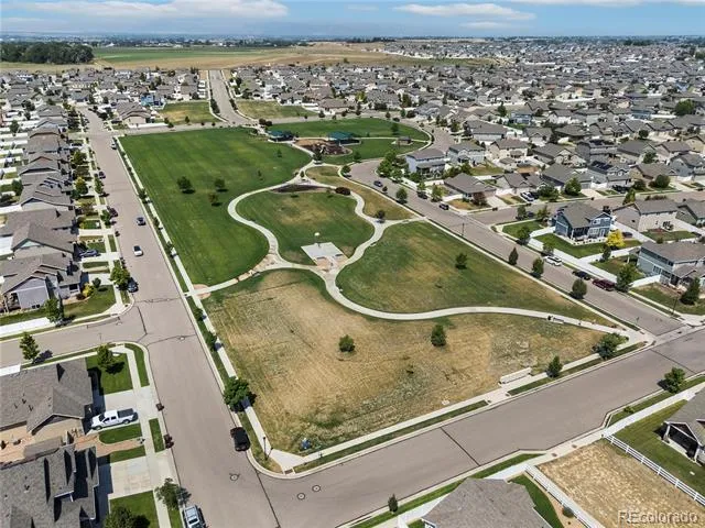 446 Ptarmigan Street Severance, CO 80550