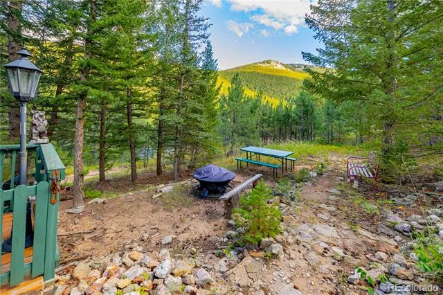 10637 Twin Spruce Road Golden, CO 80403