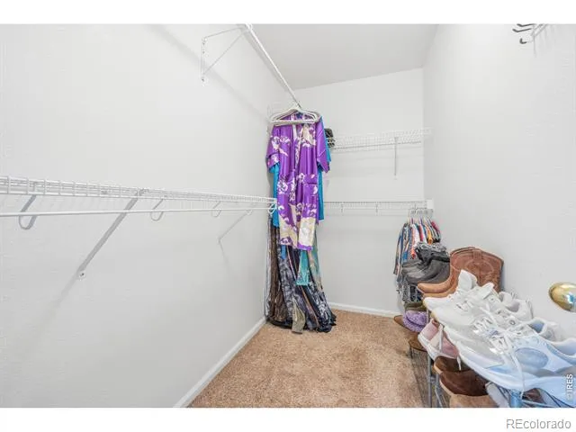 1848 Elk Springs Street Loveland, CO 80538
