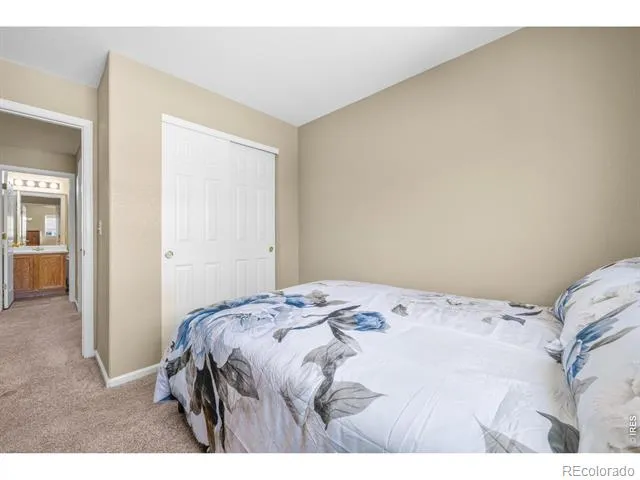 1848 Elk Springs Street Loveland, CO 80538