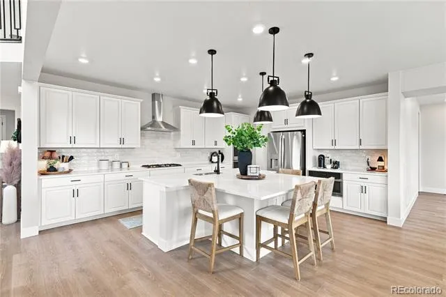 16675 W 93rd Place Arvada, CO 80007