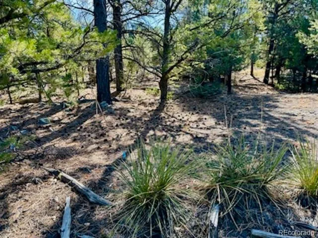 15 Lake Of The Falls Mosca, CO 81146