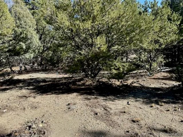 15 Lake Of The Falls Mosca, CO 81146