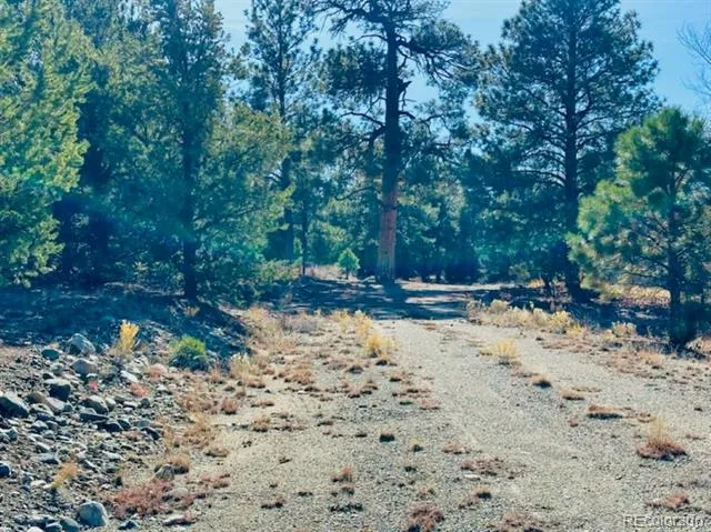 15 Lake Of The Falls Mosca, CO 81146