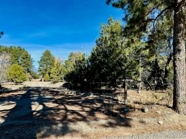 15 Lake Of The Falls Mosca, CO 81146
