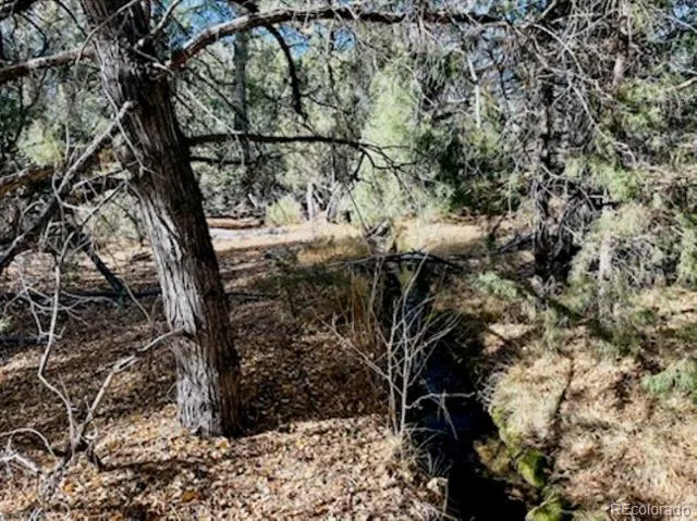 15 Lake Of The Falls Mosca, CO 81146