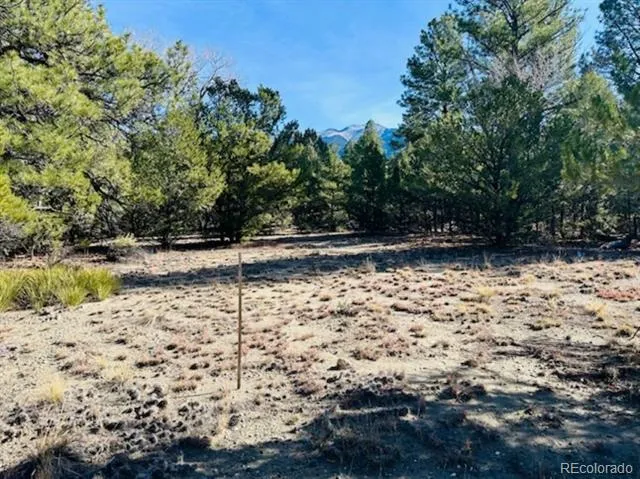 15 Lake Of The Falls Mosca, CO 81146