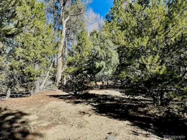 15 Lake Of The Falls Mosca, CO 81146