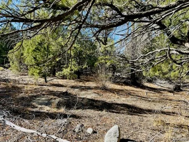15 Lake Of The Falls Mosca, CO 81146