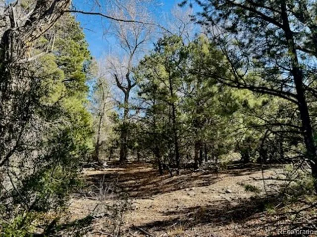 15 Lake Of The Falls Mosca, CO 81146