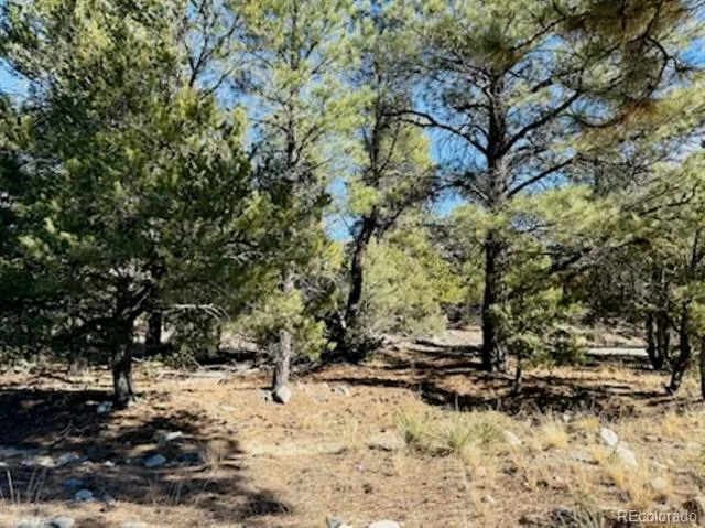 15 Lake Of The Falls Mosca, CO 81146