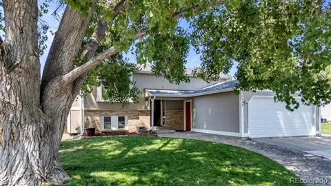 12429 Ash Drive