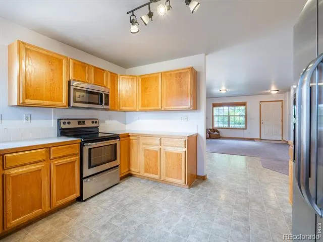 399 Lark Bunting Avenue Loveland, CO 80537
