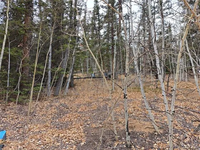 210 Tepee Trail Como, CO 80432