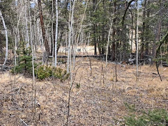 210 Tepee Trail Como, CO 80432