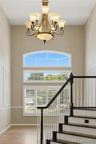 6476 Serengeti Circle Lone Tree, CO 80124