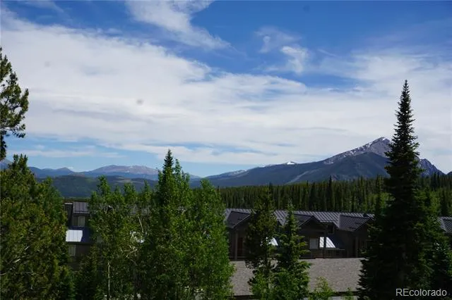 91300 Ryan Gulch Road #91310 Silverthorne, CO 80498
