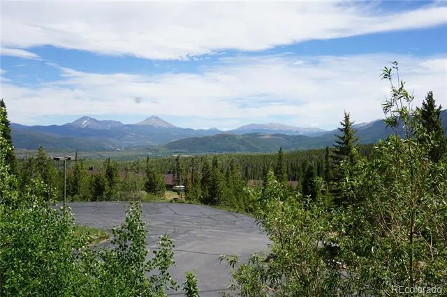 91300 Ryan Gulch Road #91310 Silverthorne, CO 80498