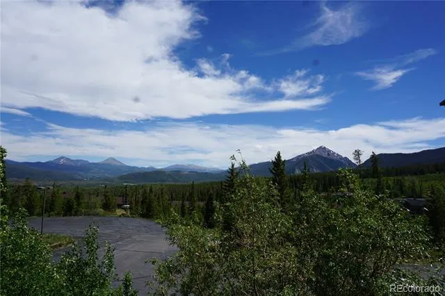 91300 Ryan Gulch Road #91310 Silverthorne, CO 80498