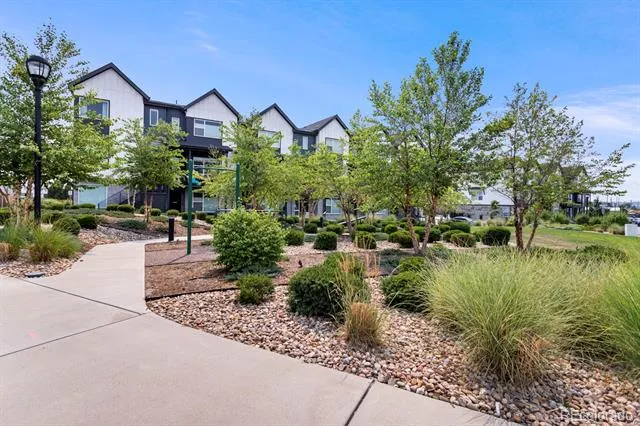 5154 Vivian Street Wheat Ridge, CO 80033
