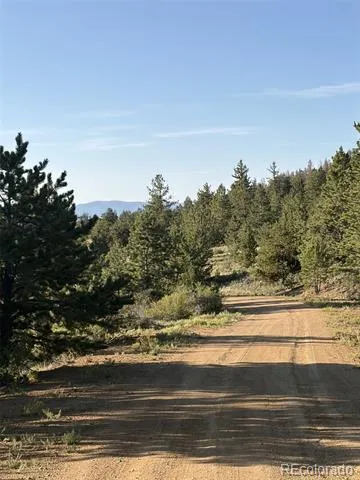 100 Park Road Hartsel, CO 80449