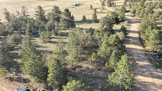 100 Park Road Hartsel, CO 80449