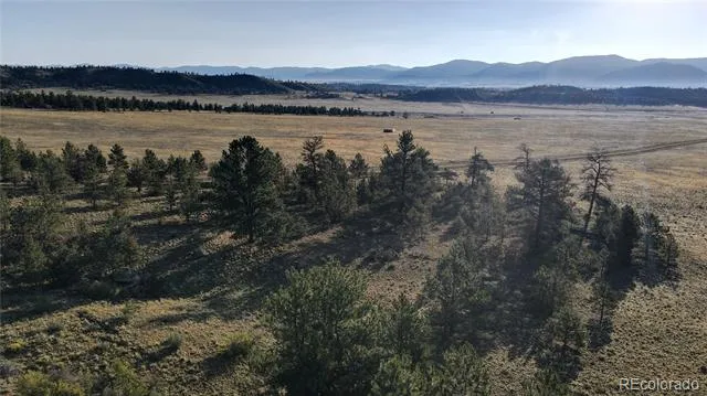 100 Park Road Hartsel, CO 80449