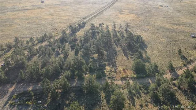 100 Park Road Hartsel, CO 80449