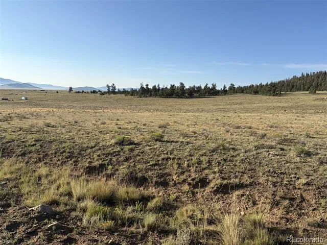 100 Park Road Hartsel, CO 80449