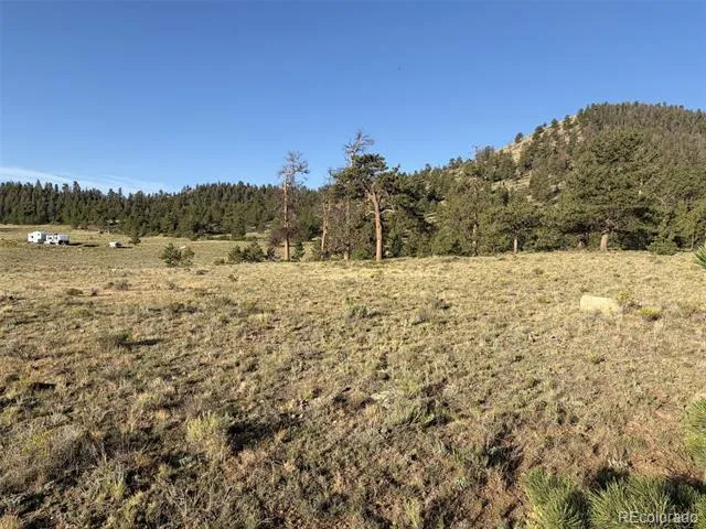 100 Park Road Hartsel, CO 80449