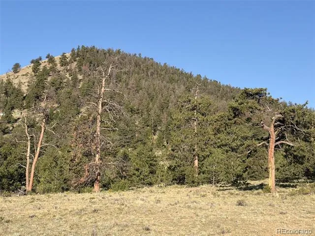 100 Park Road Hartsel, CO 80449