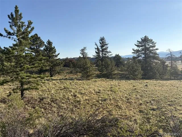 100 Park Road Hartsel, CO 80449
