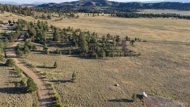100 Park Road Hartsel, CO 80449