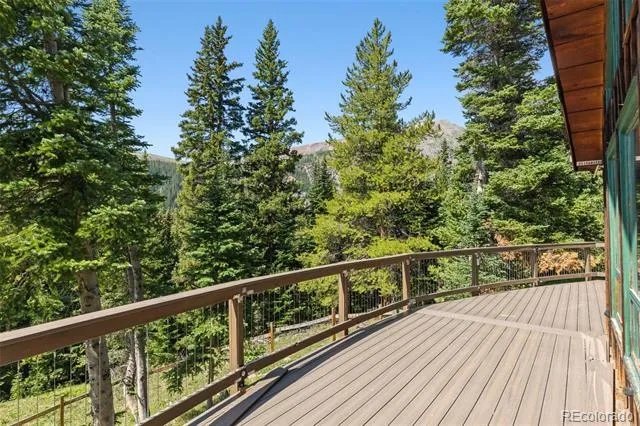 321 Monte Cristo Mine Road Breckenridge, CO 80424