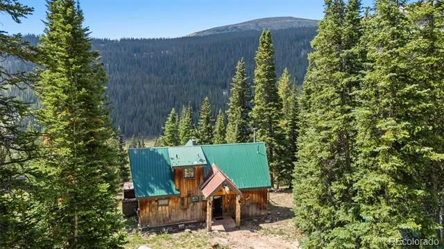 321 Monte Cristo Mine Road Breckenridge, CO 80424