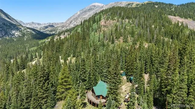 321 Monte Cristo Mine Road Breckenridge, CO 80424