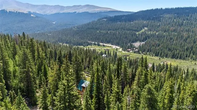 321 Monte Cristo Mine Road Breckenridge, CO 80424