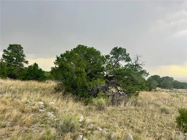 00015 Clear Brook Place Mosca, CO 81146