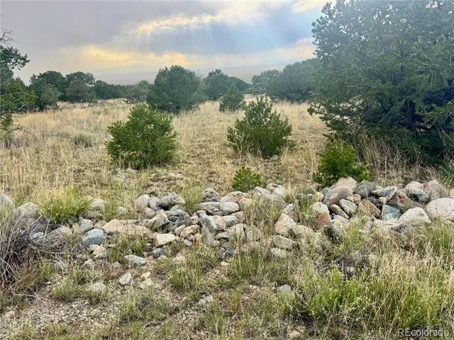 00015 Clear Brook Place Mosca, CO 81146