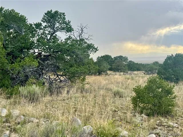 00015 Clear Brook Place Mosca, CO 81146