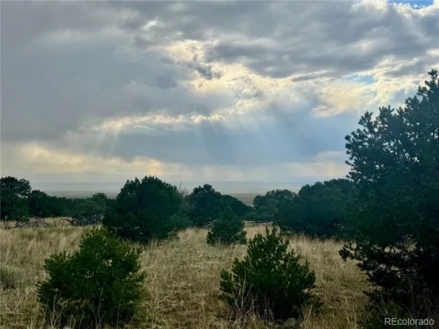 00015 Clear Brook Place Mosca, CO 81146