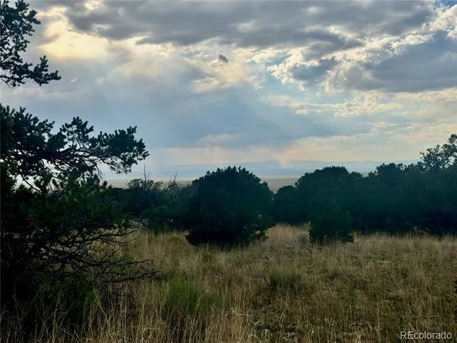 00015 Clear Brook Place Mosca, CO 81146