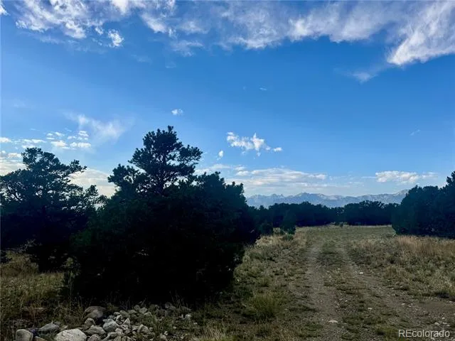 00015 Clear Brook Place Mosca, CO 81146