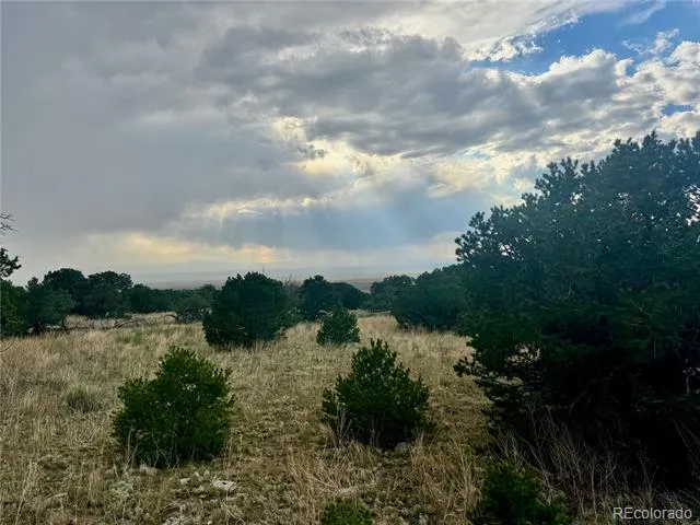 00015 Clear Brook Place Mosca, CO 81146