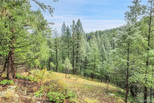 TBD Mountain Park Road Evergreen, CO 80439