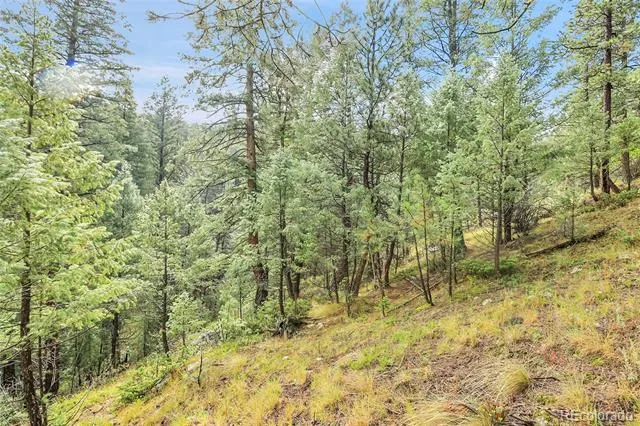 TBD Mountain Park Road Evergreen, CO 80439